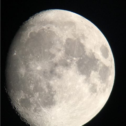Oberwerk Smartphone DigiScoping Adapter - Image 4