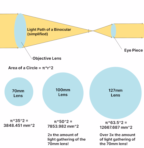 Chart displaying binocular light path